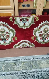 یک جفت پشتی سالم