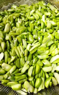 محصولات خانگی ناز بانو