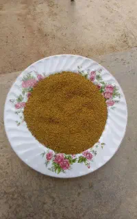 تخم یونجه درجه یک و اصالت دار
