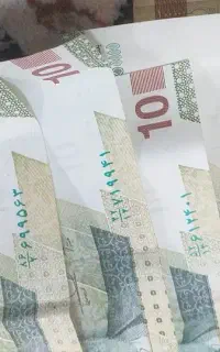 سرمایه گزار