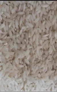 برنج چمپا درجع یک