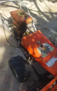 دروگر تارو کاوازاکی