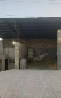 دامداری