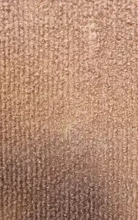 موکت