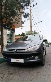 206 sd
