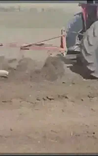 شخم زنی باگاو آهن و پنجه غازی کانتیواتر