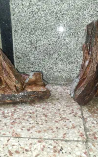 صخره اکواریوم