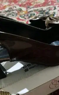 کفش مجلسی