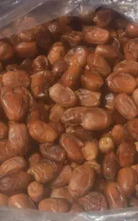 خرما زاهدی