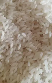 برنج