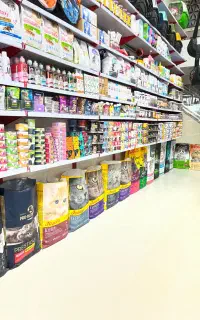 غذای حیوانات/خارجی/اورجینال