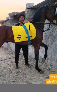 سلطان کره رعد خضری نوه کامران