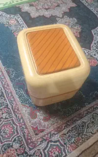 جارو برقی