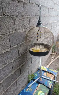 قفس ایستاده