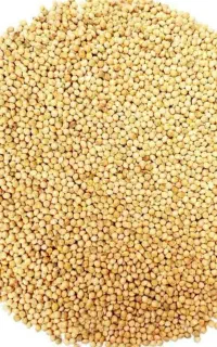 فروش الوم ارزن
