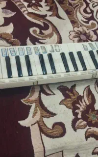 ملودیکا مجلسی خوش صدا