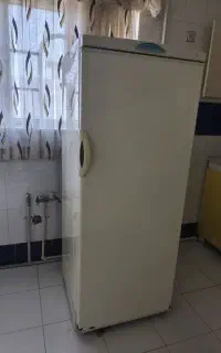 یخچال پارس