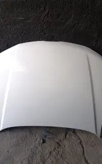 کاپوت پارس