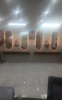 مدل کوتاهی، شنیون