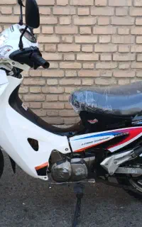 ویو مزایده عروسک