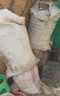 بار کفتر