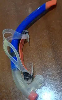 اسنورکل مارول