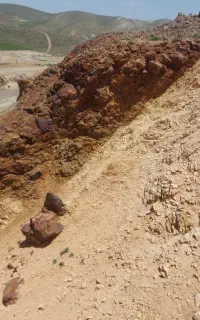 سرمایه گذار