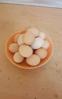 تخم مرغ نطفه دار تازه تولید روز