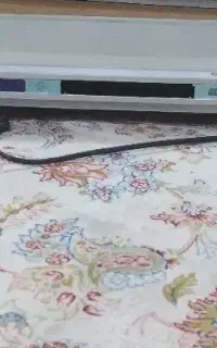 DVD پلیر