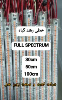 لامپ رشد گیاه