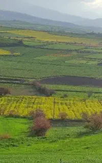 خدمات باغ و باغچه