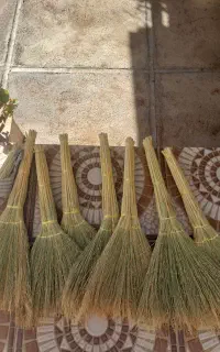 جاروولوبیا