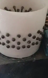 پرکن مرغ وبلدرچین