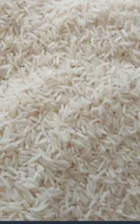 برنج  ایرانی شاهدانه فجر