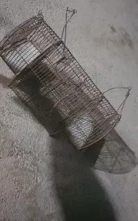 معاوضه با کفتر خوب