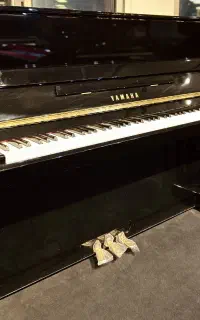 فروش پیانو های دیجیتال و آکوستیک