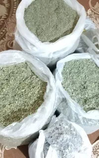 داروی گیاهی