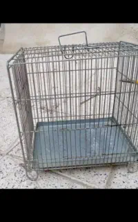 دوعددقفس پرنده هردو۵۰۰هزارتومان بفروش میرسد