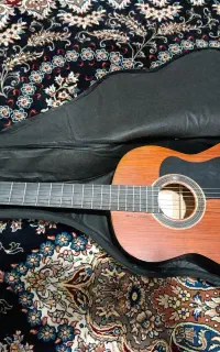 گیتار antonio sesar