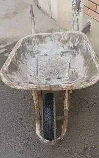فرقون و چهار پایه سالم