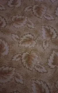 موکت