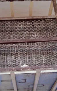 شادگان