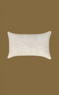 بالشت طبی