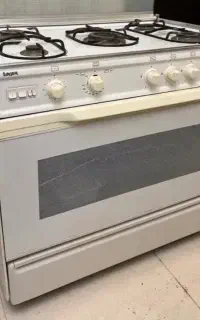 فرگاز سینجر