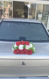 ماشین‌عروس‌مصنوعی‌وطبیعی