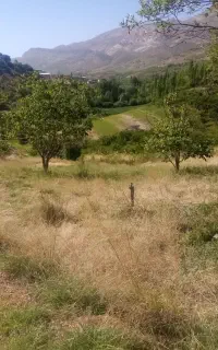 یه قطعه زمین فروشی در روستایی سرسبز