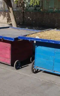 چرخ میوه فروشی