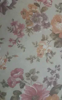 تشک