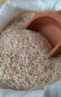 برنج خوش طمع ایرانی