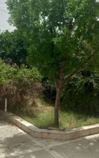 خانه ویلایی ۳۳۰متر
